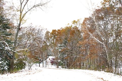 A home in Texas Twp