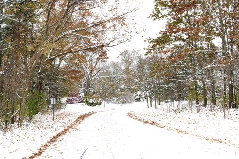 A home in Texas Twp