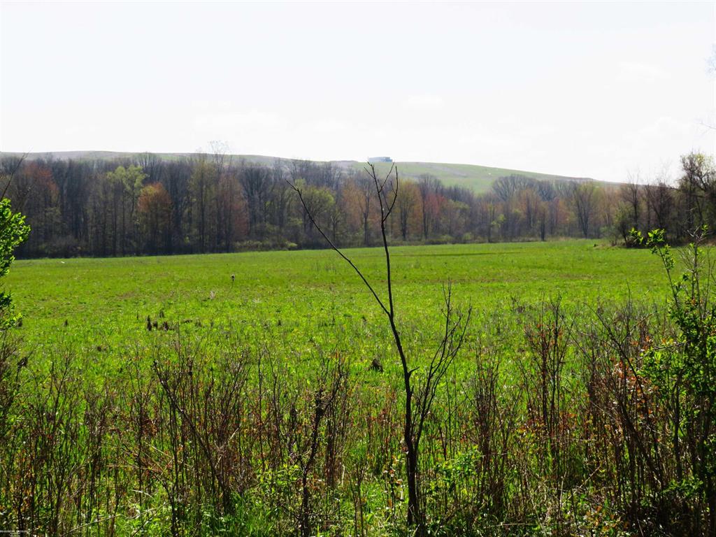 0 Gratiot Road