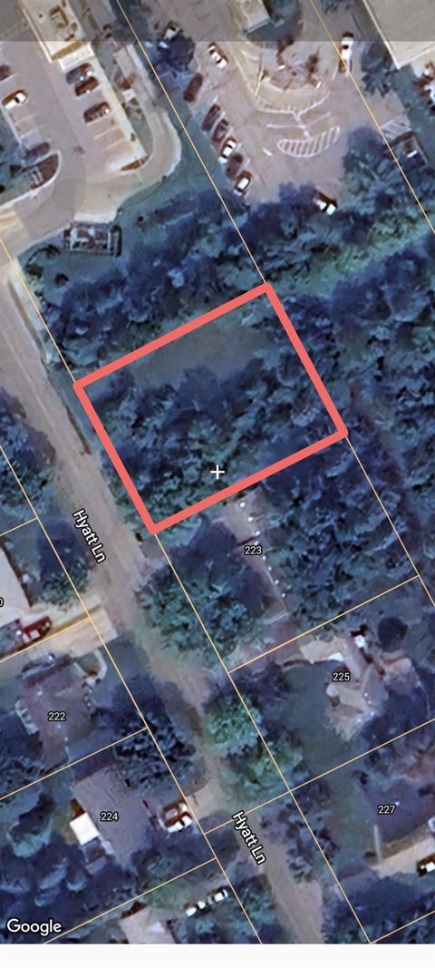 Hyatt Lane Linden City MI 48451