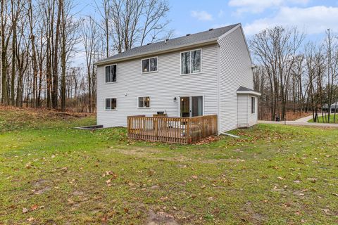 A home in Big Rapids Twp