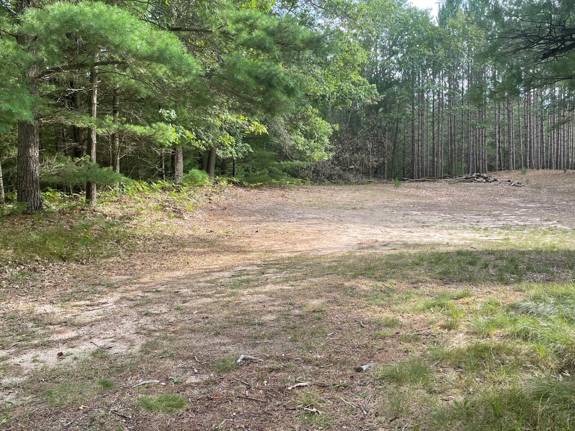 View Freesoil Twp, MI 49411 land