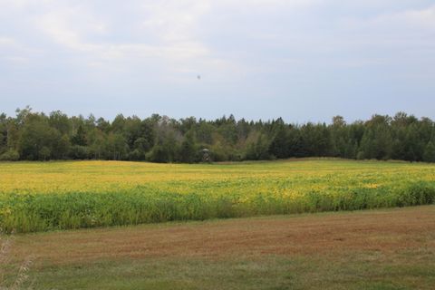 A home in Wellington Twp