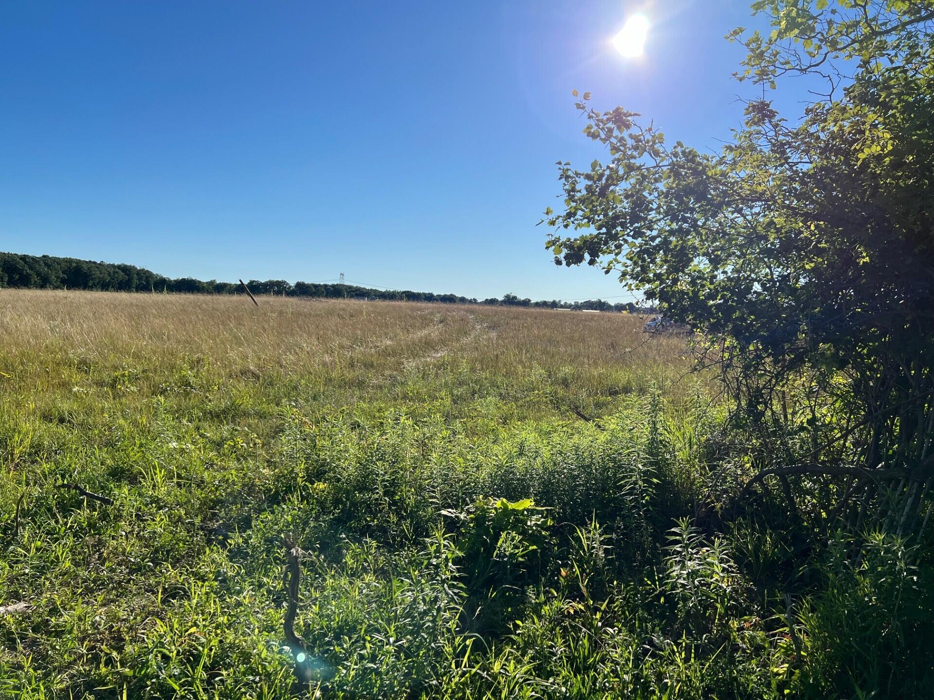 Buchanan, Michigan 49128, United States, ,Land,Active,67599