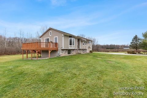 A home in Otsego Twp