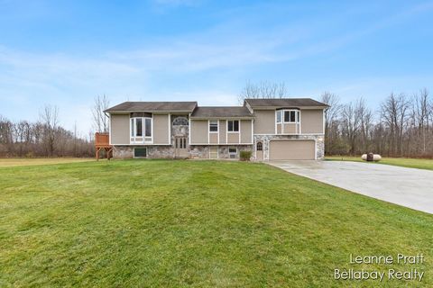 A home in Otsego Twp