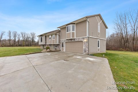 A home in Otsego Twp