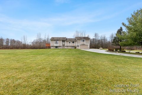 A home in Otsego Twp