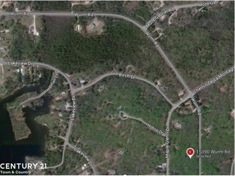 15390 Wurm Road Drive Nunda Township MI 49799