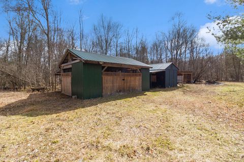 A home in Colfax Twp