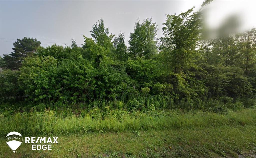 View Thetford Twp, MI 48420 land