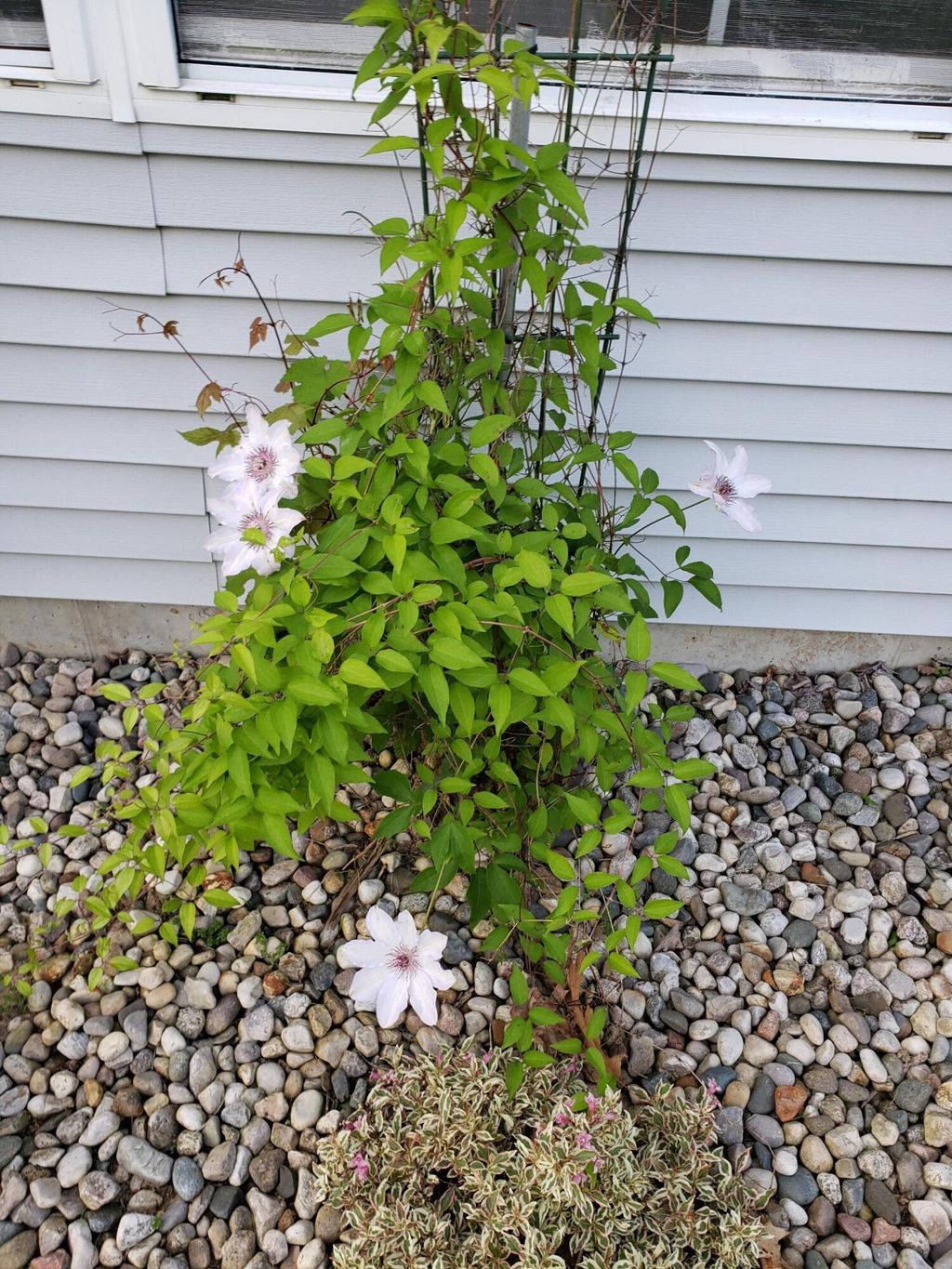 listing image 38