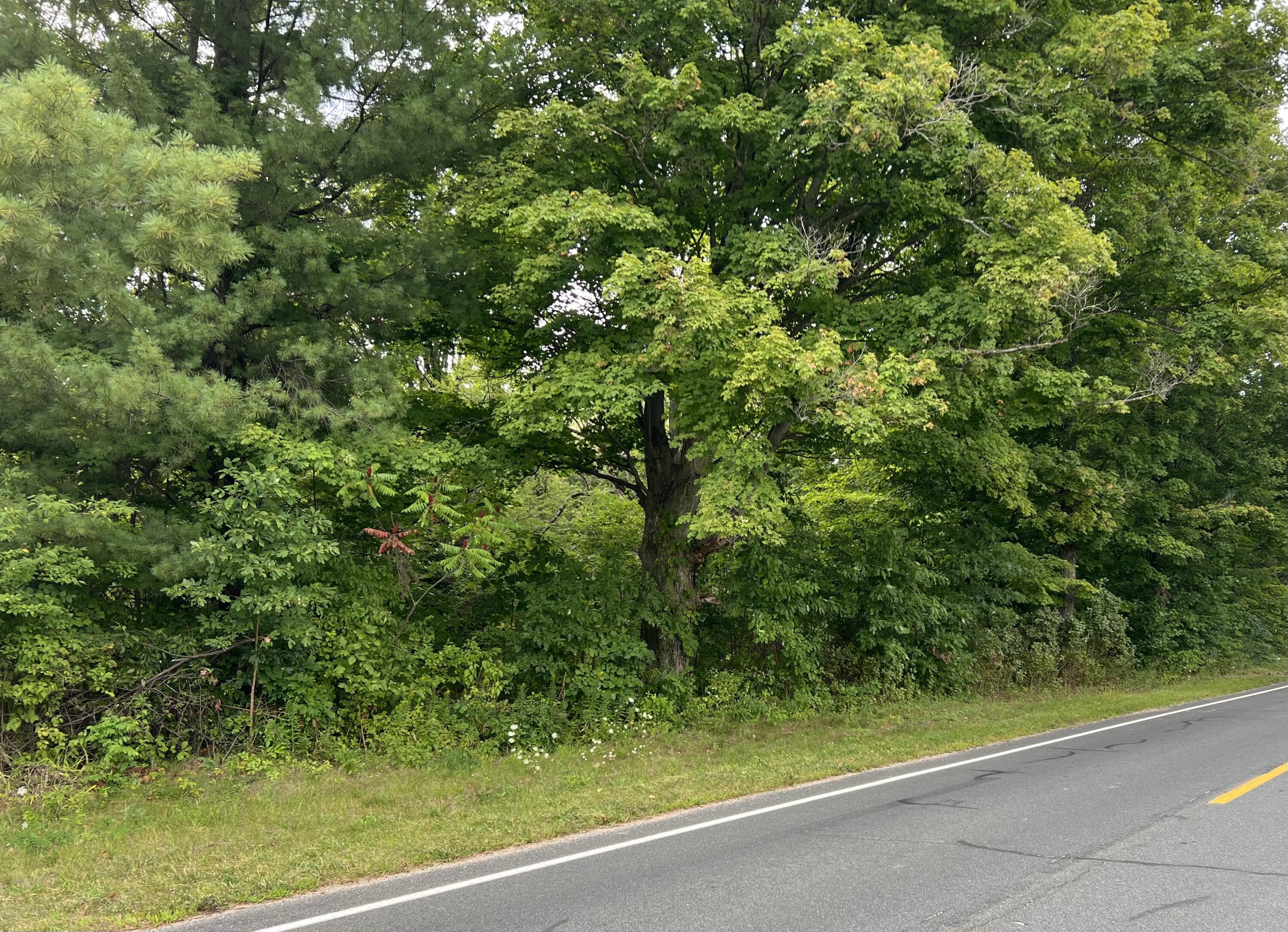 View Casco Twp, MI 49090 land