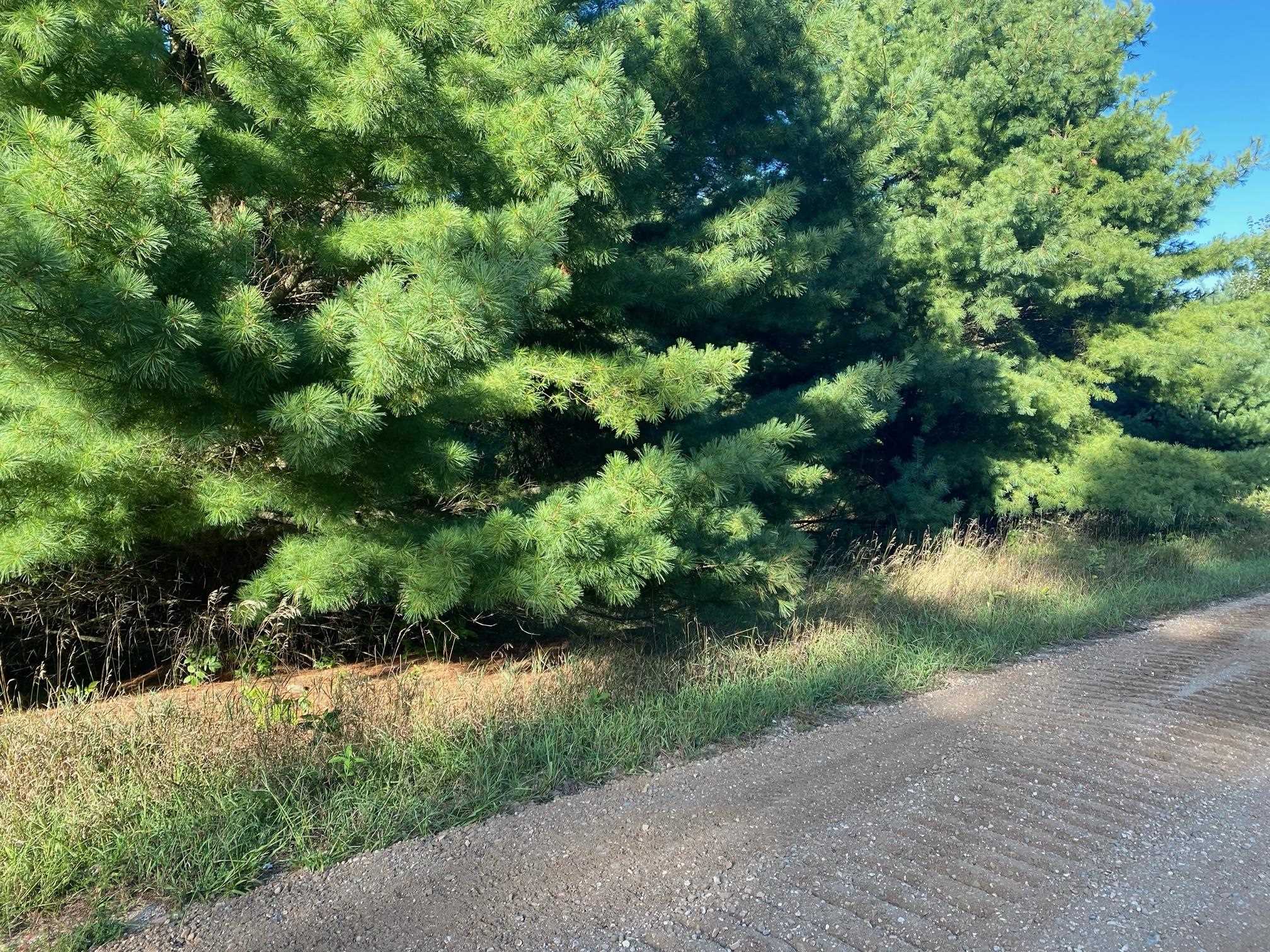 Allegheny Trail