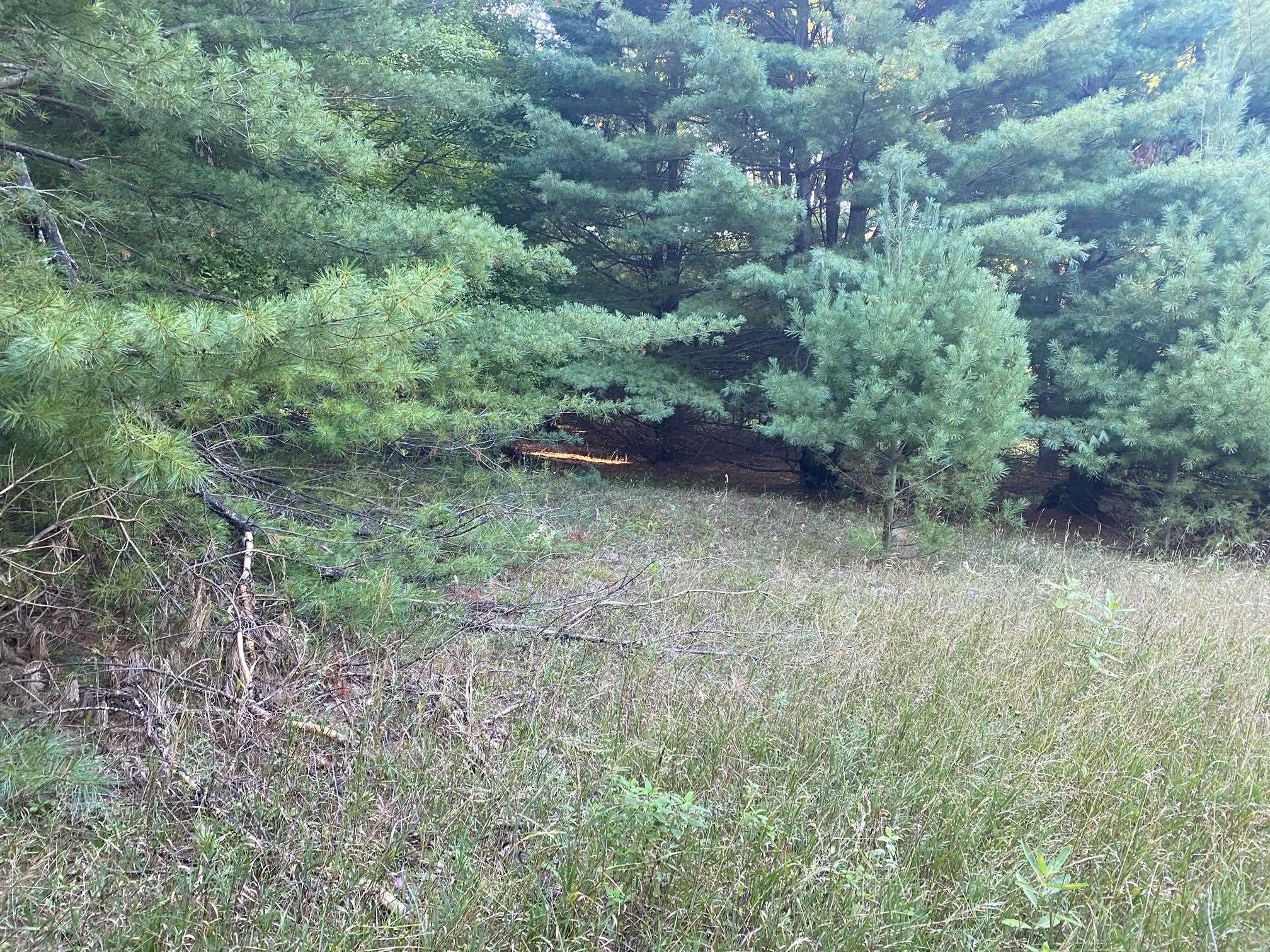 Allegheny Trail