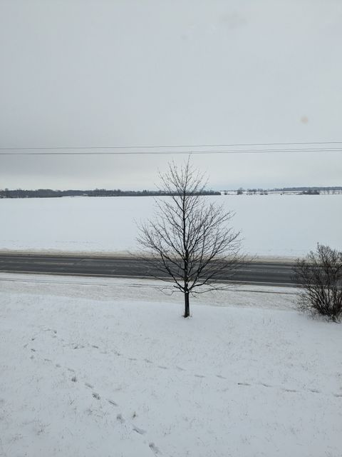 A home in Marlette Twp