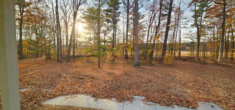 A home in Frankenmuth Twp