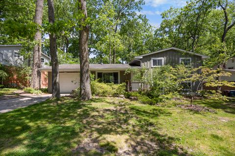 A home in Ann Arbor