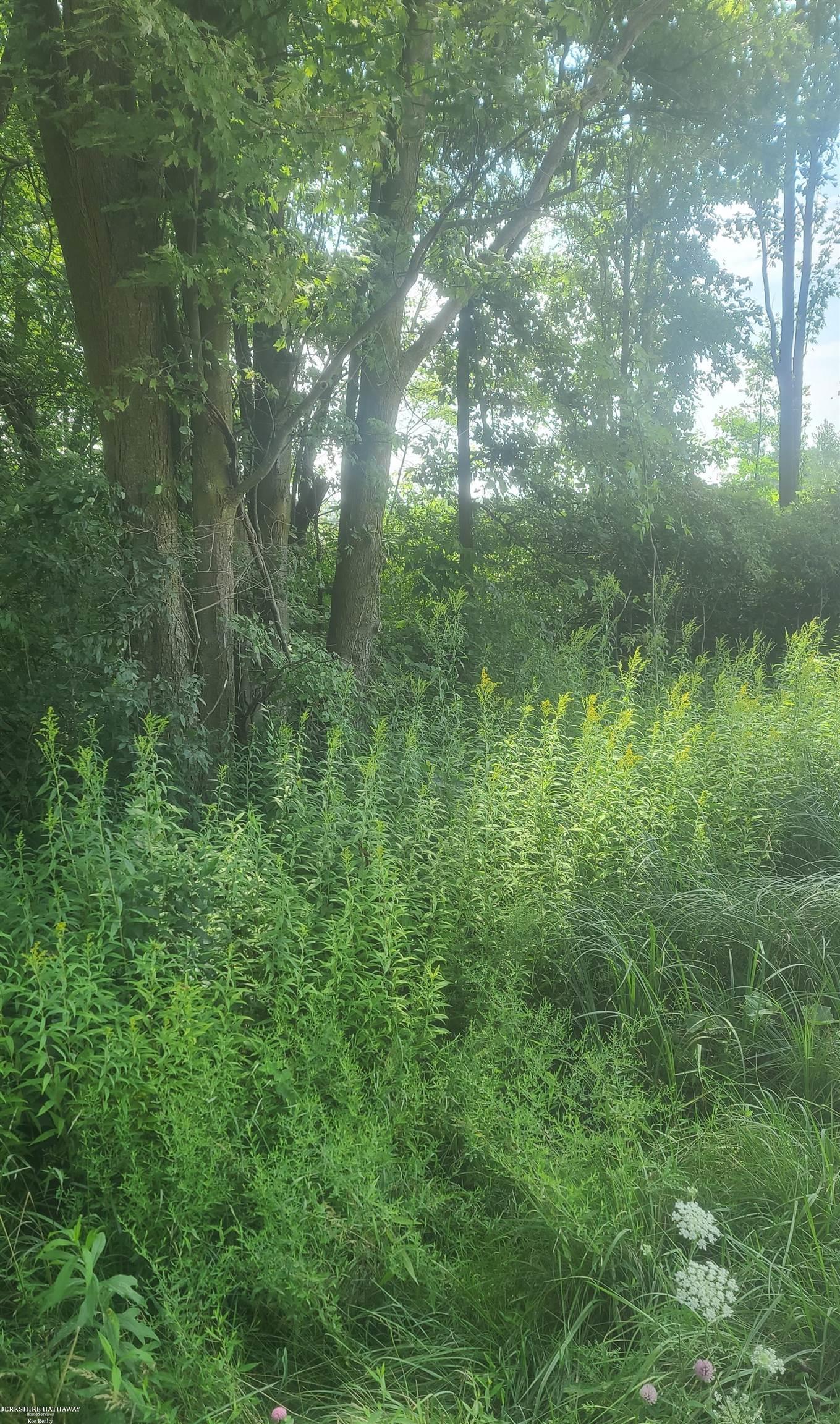 00 SHERIDAN Road