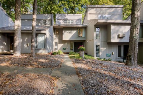 A home in Custer Twp