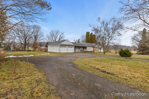 A home in Ionia Twp