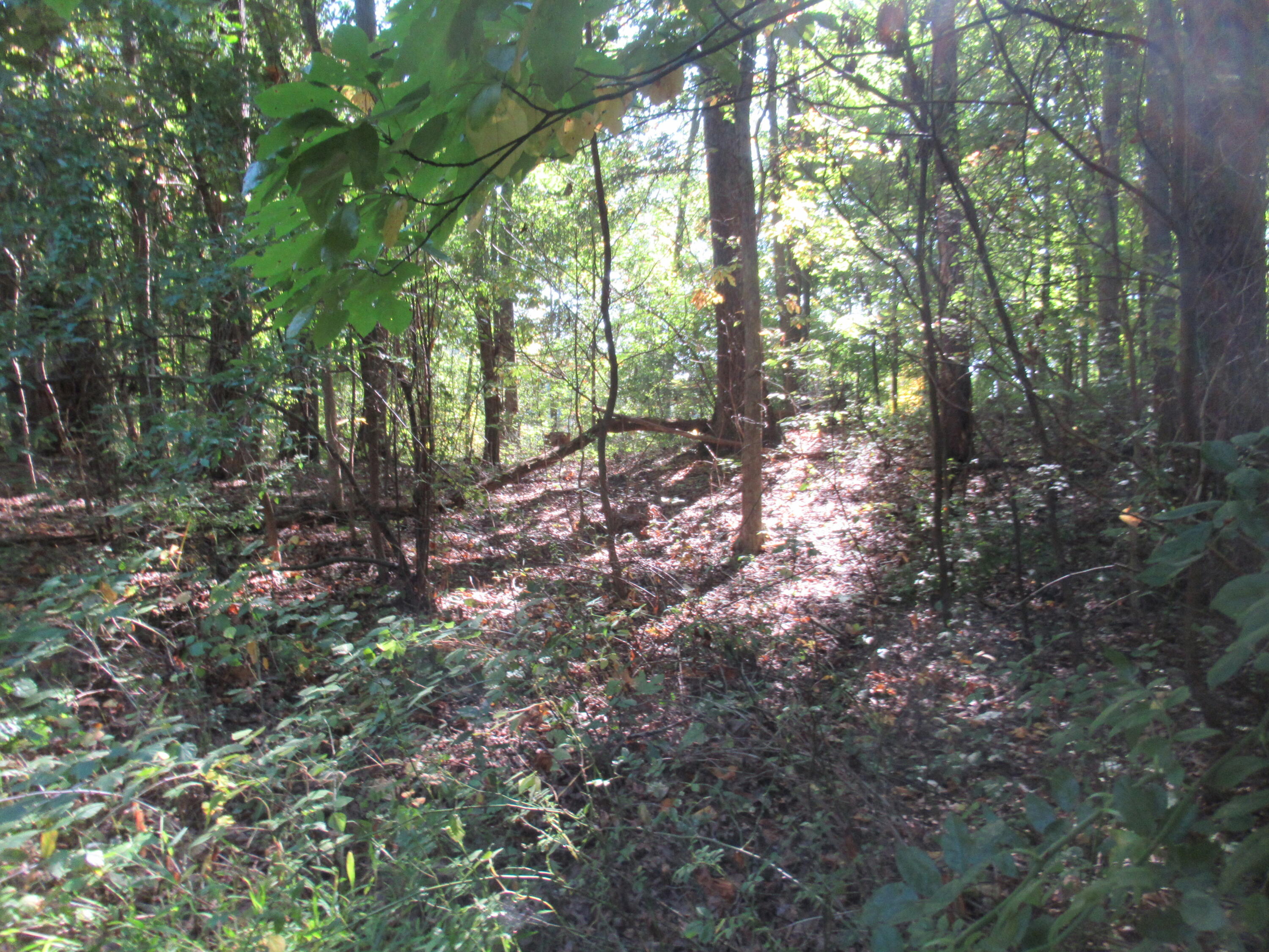 17538 Paradise Lake Road