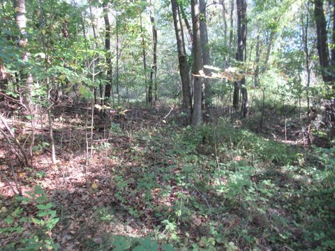 17538 Paradise Lake Road Calvin Township MI 49095