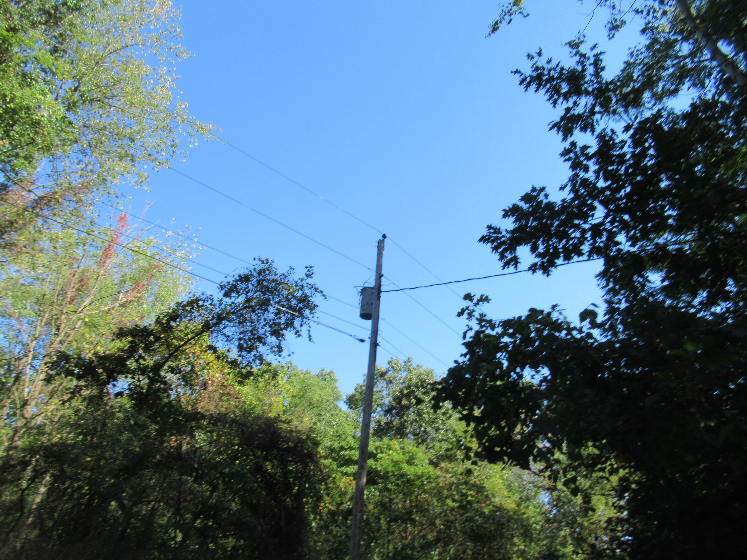 17538 Paradise Lake Road