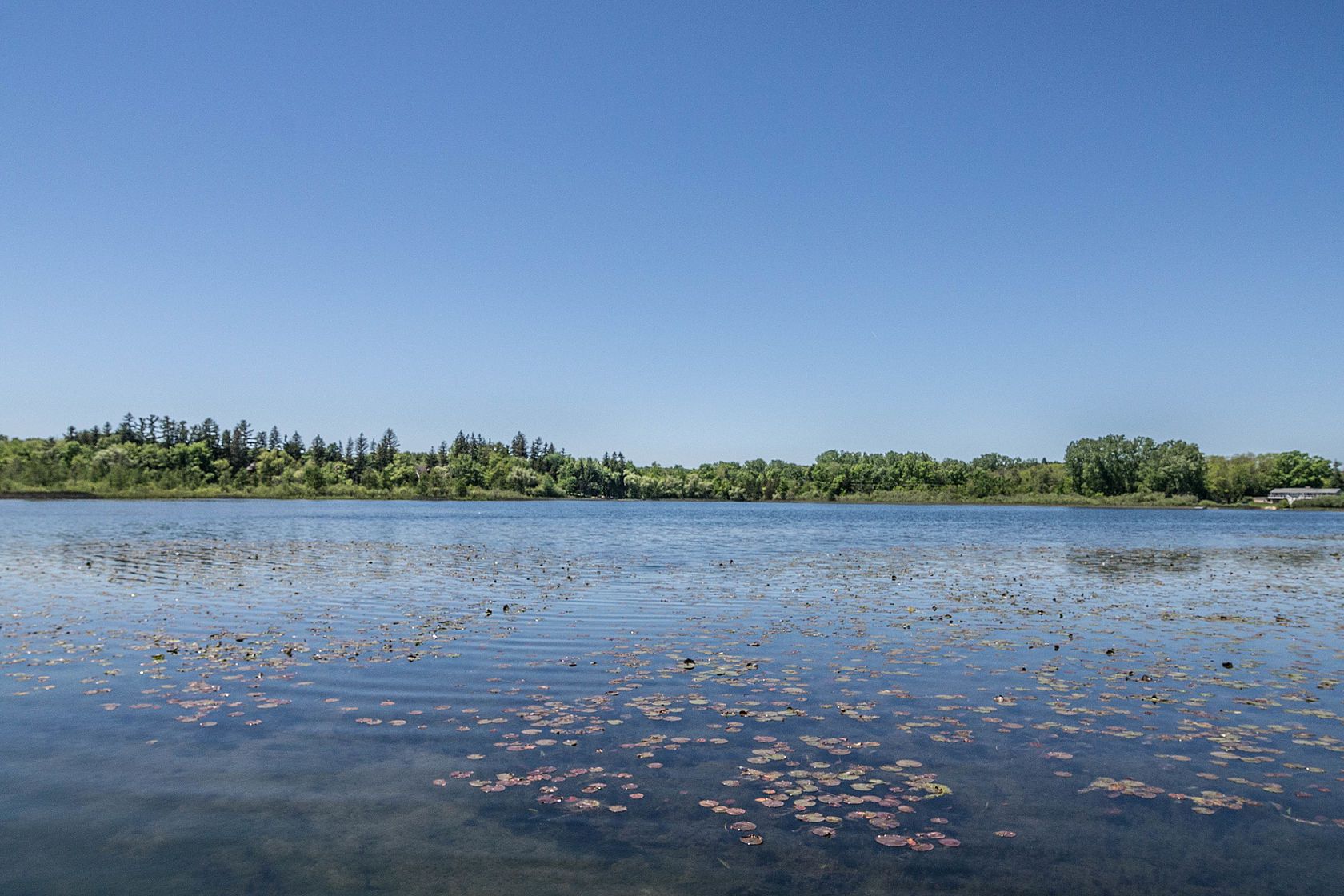 Lot 12 Wyndam Lane