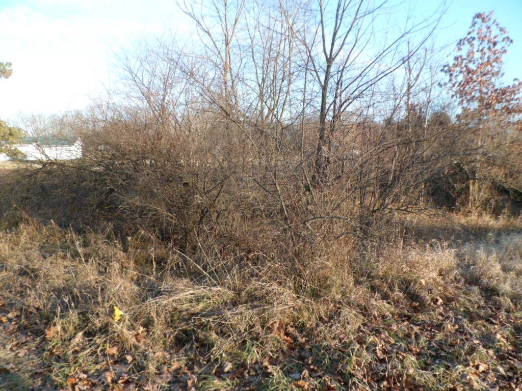 1012 Marietta Street