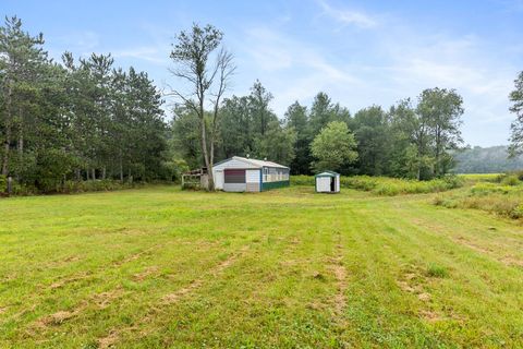 A home in Sheridan Twp - Newaygo