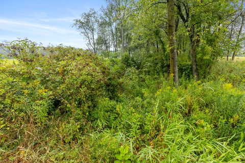 A home in Sheridan Twp - Newaygo