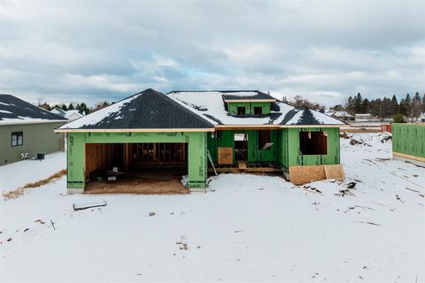 A home in Empire Twp