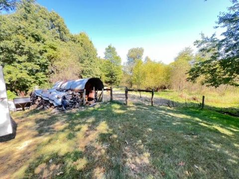 A home in Colon Twp