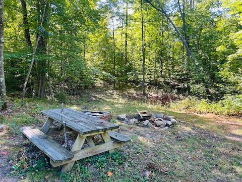 A home in Pinora Twp