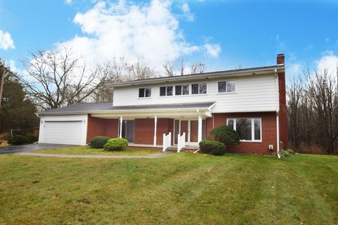 A home in Birch Run Twp