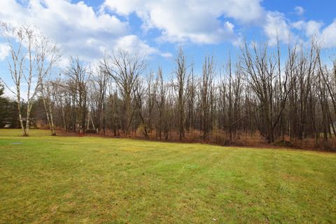 A home in Birch Run Twp