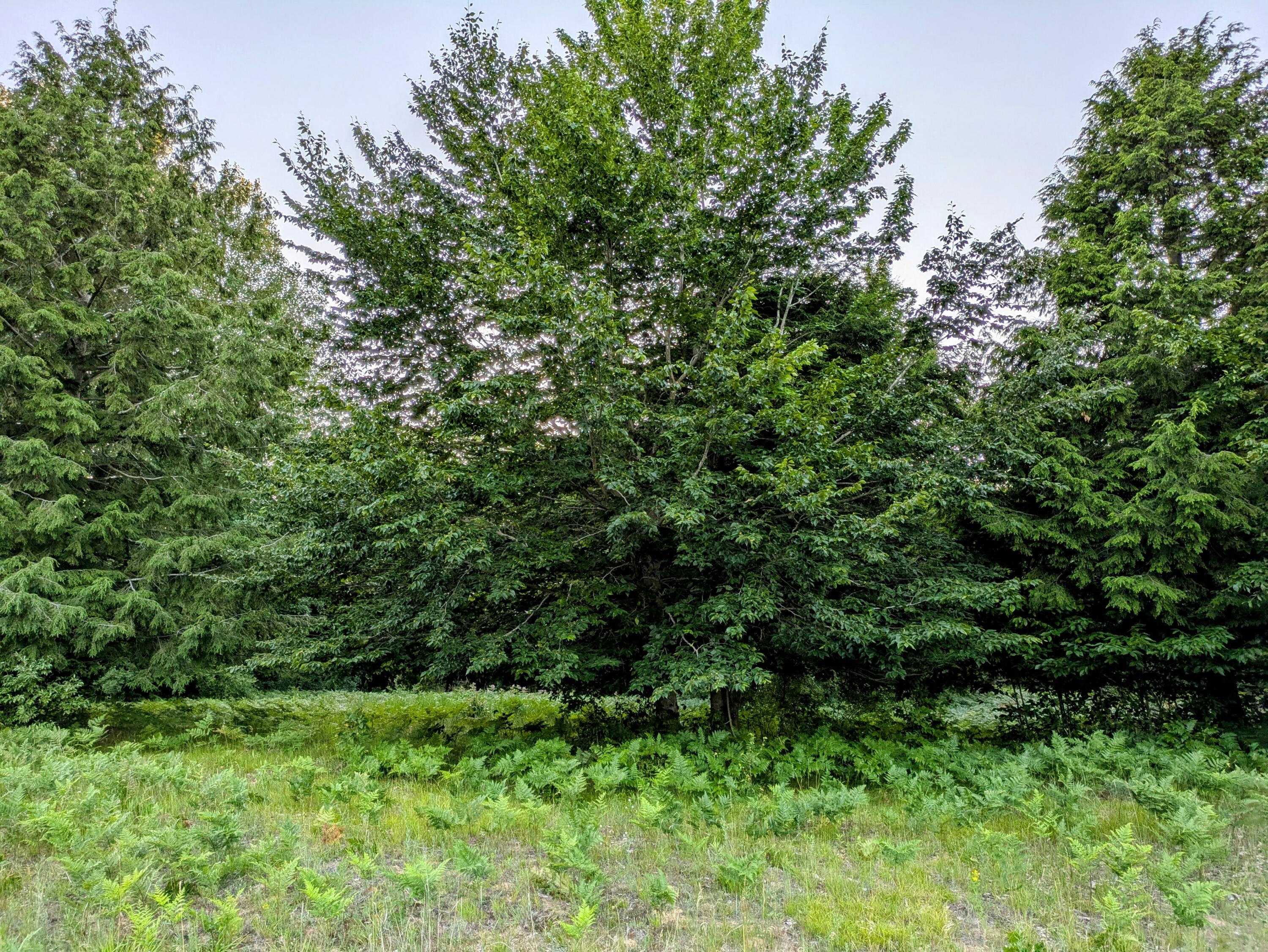 View Onekama Twp, MI 49675 land