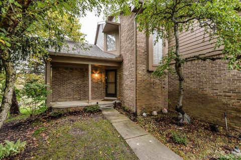 A home in Ann Arbor Twp