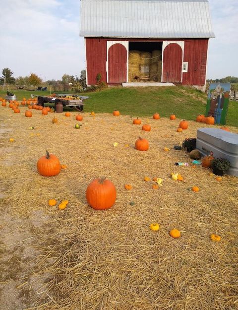 A home in Aetna Twp