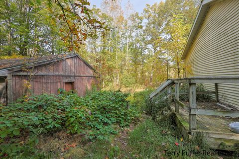 A home in Evart Twp