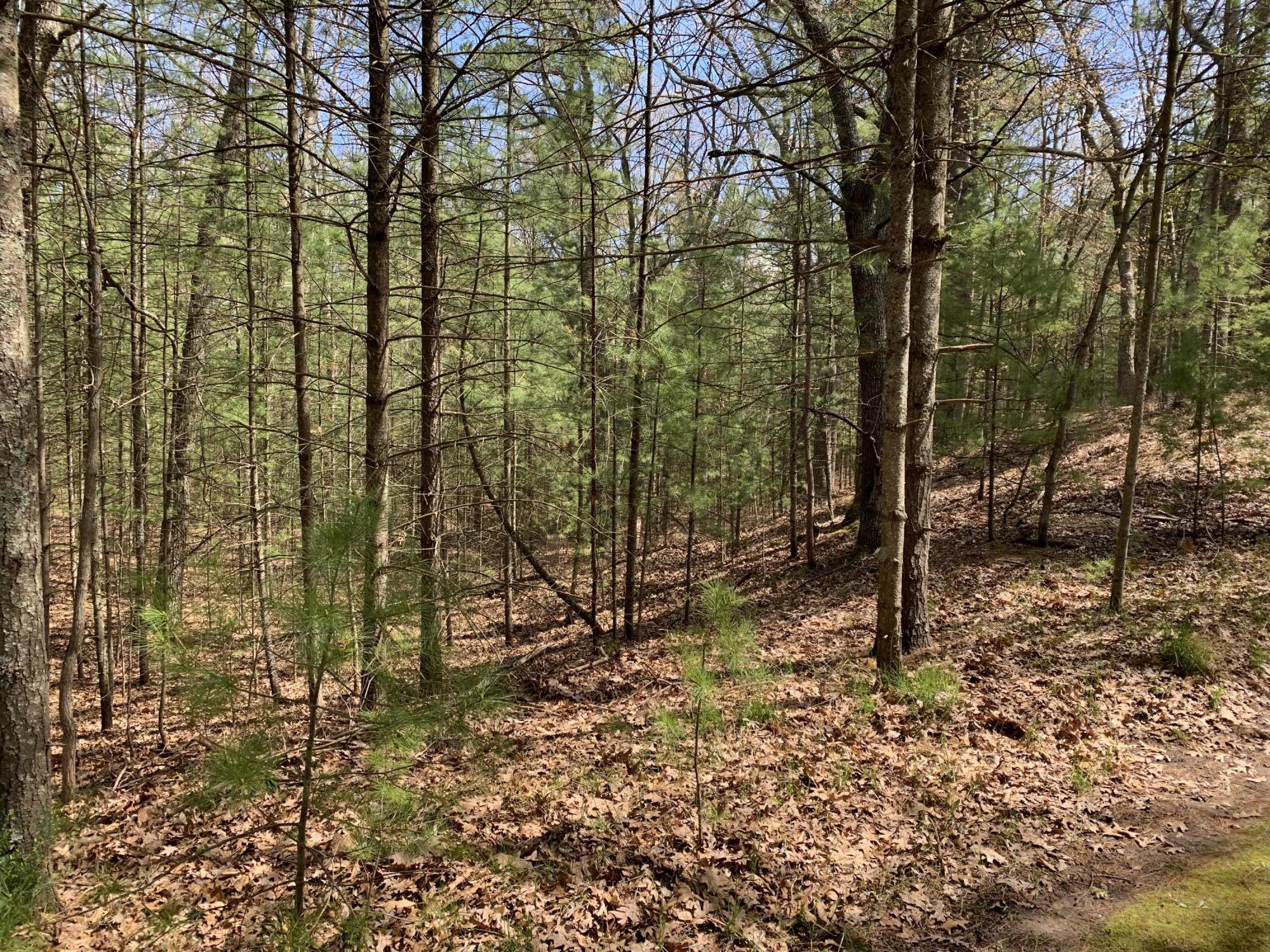 View Summit Twp, MI 49449 land