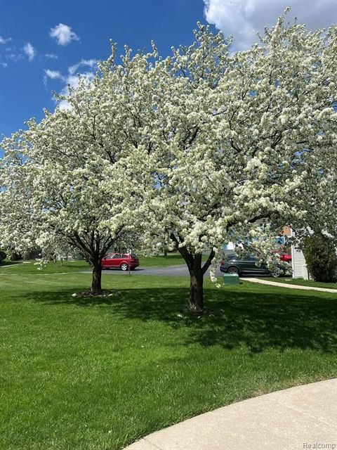 A home in Novi