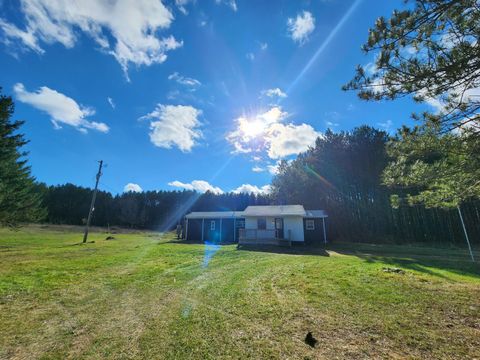 A home in Pinora Twp