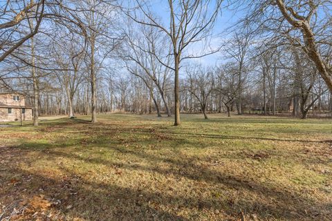 A home in Grosse Ile Twp