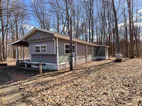 A home in Bear Lake Twp