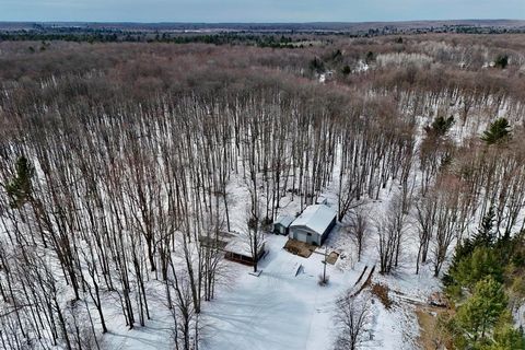 A home in Bear Lake Twp