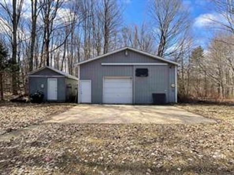 A home in Bear Lake Twp