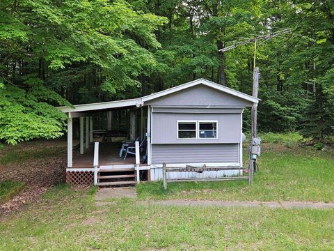 A home in Bear Lake Twp