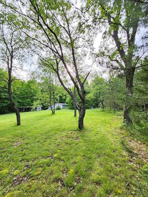 A home in Bear Lake Twp